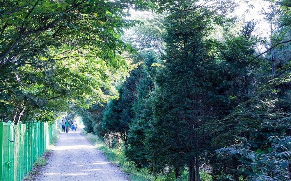 undefined Seoul Bukhansan Glamping 8