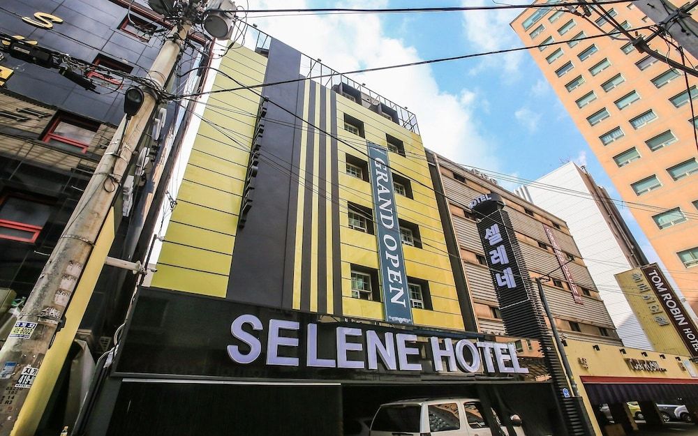 undefined Jamsil Selene