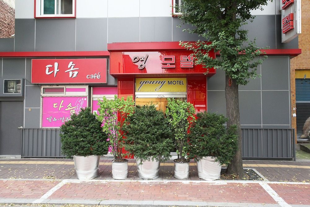 undefined Mia Young 3