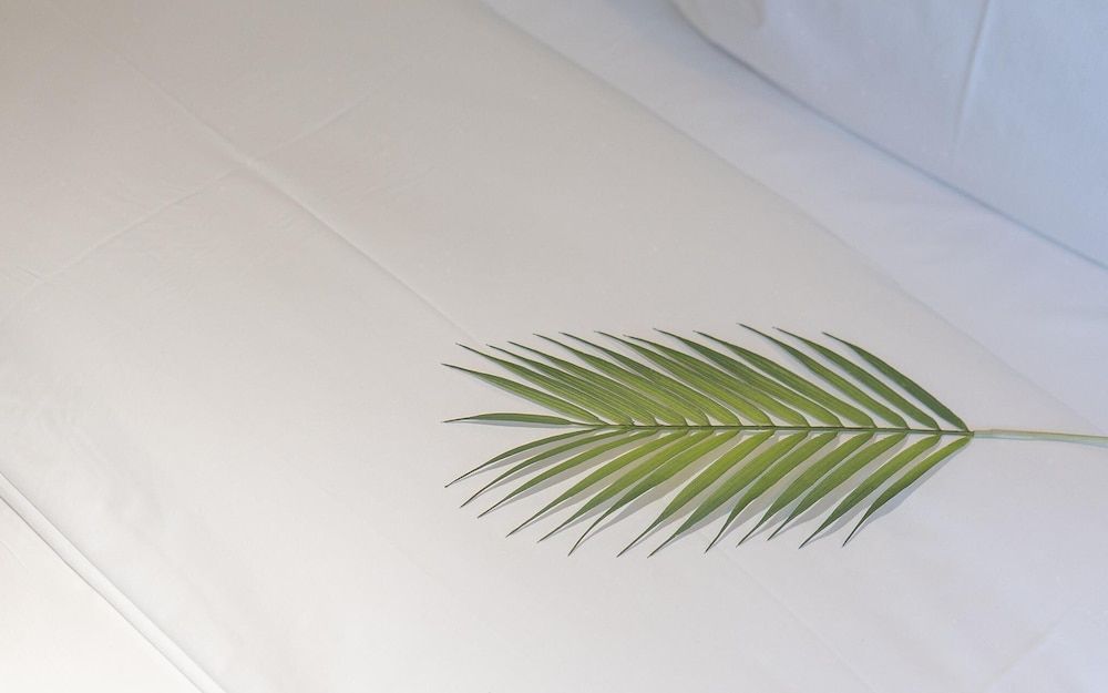 Brown Dot Yeoksam Branch Room (Premium B (OTT Bathtub)) 12