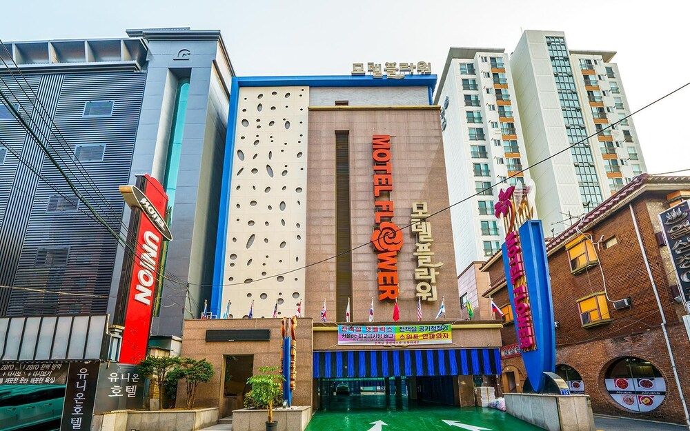 undefined Hwagok Flower