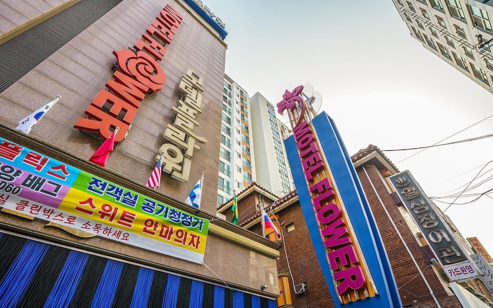 undefined Hwagok Flower 2