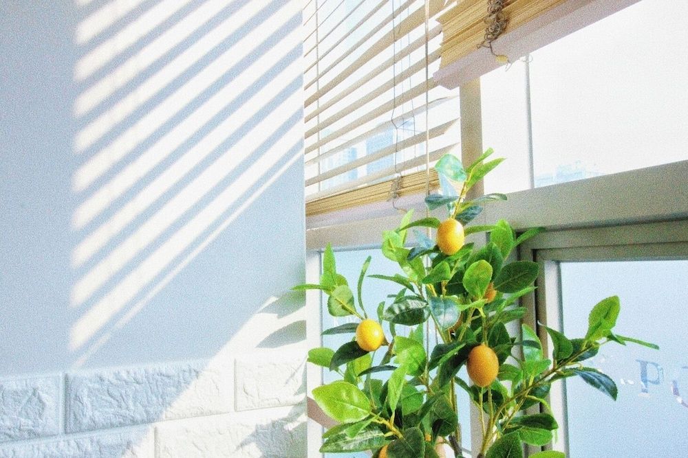 undefined Hostel Kpop 5