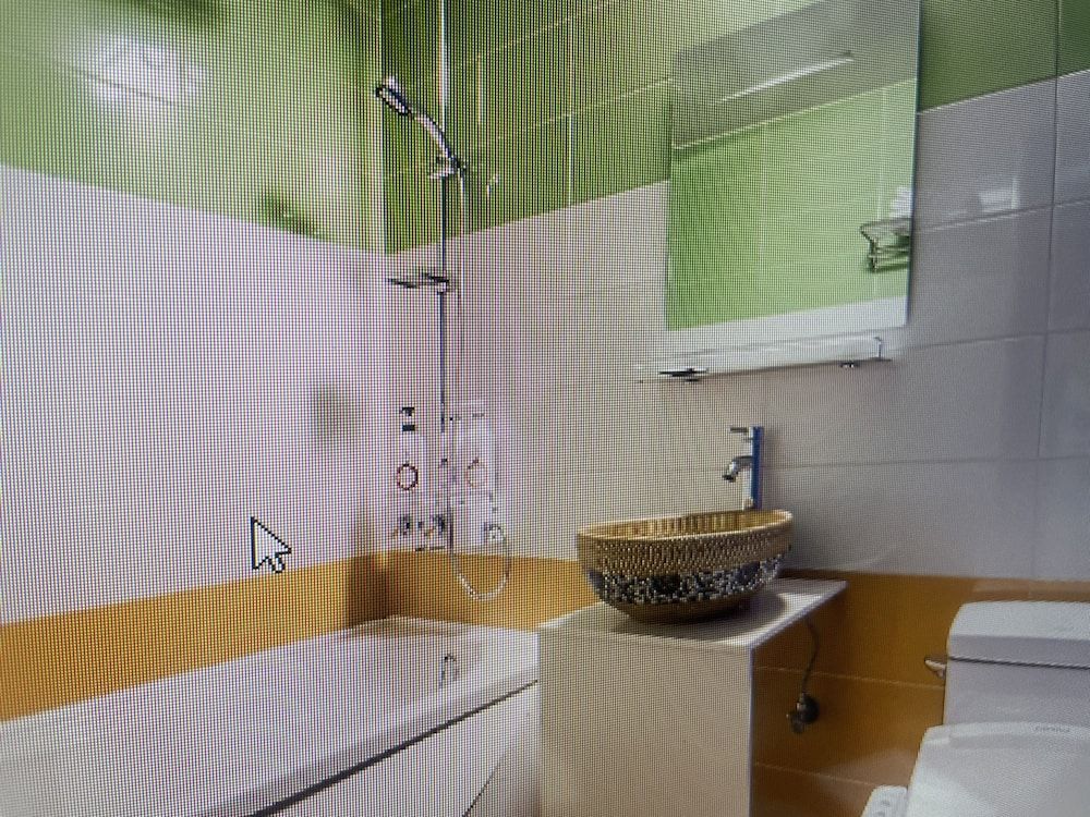 undefined Chamisso 10