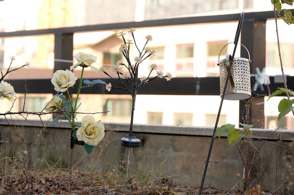 undefined Snowflower Guesthouse 2