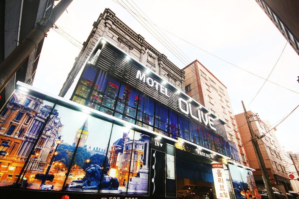 undefined Busan Sajik Olive