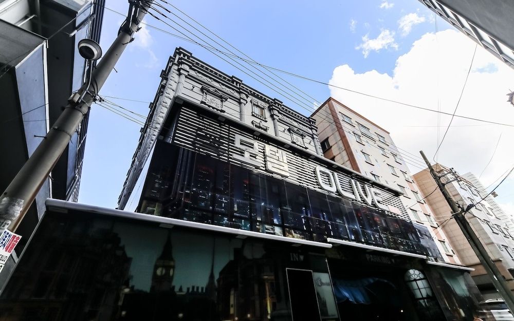 undefined Busan Sajik Olive 3