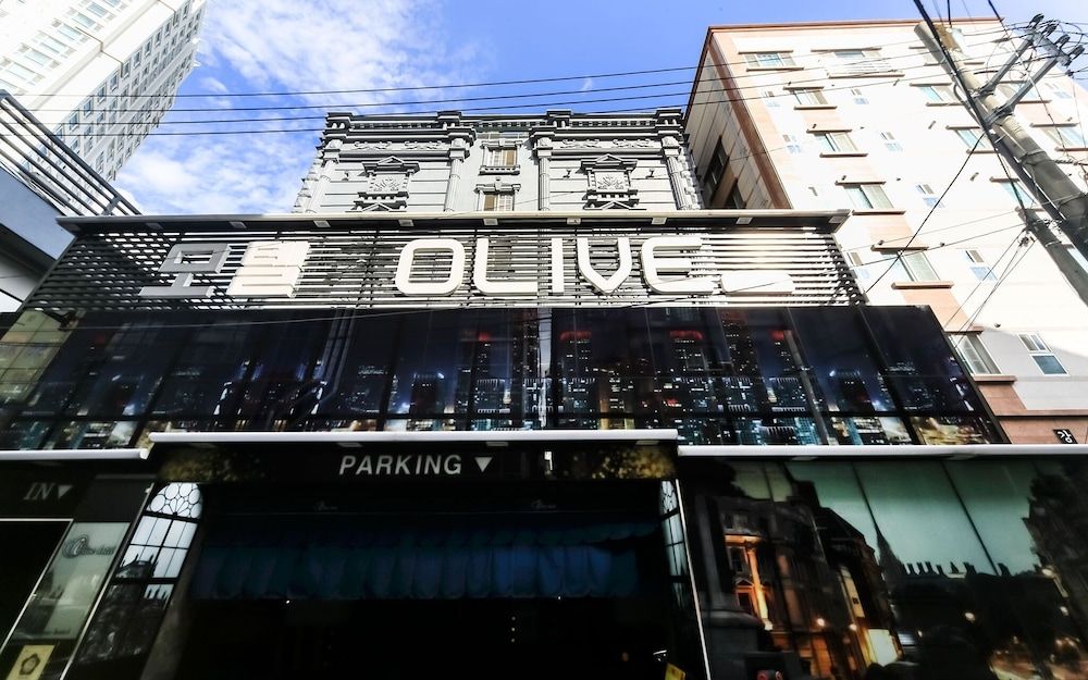 undefined Busan Sajik Olive 2