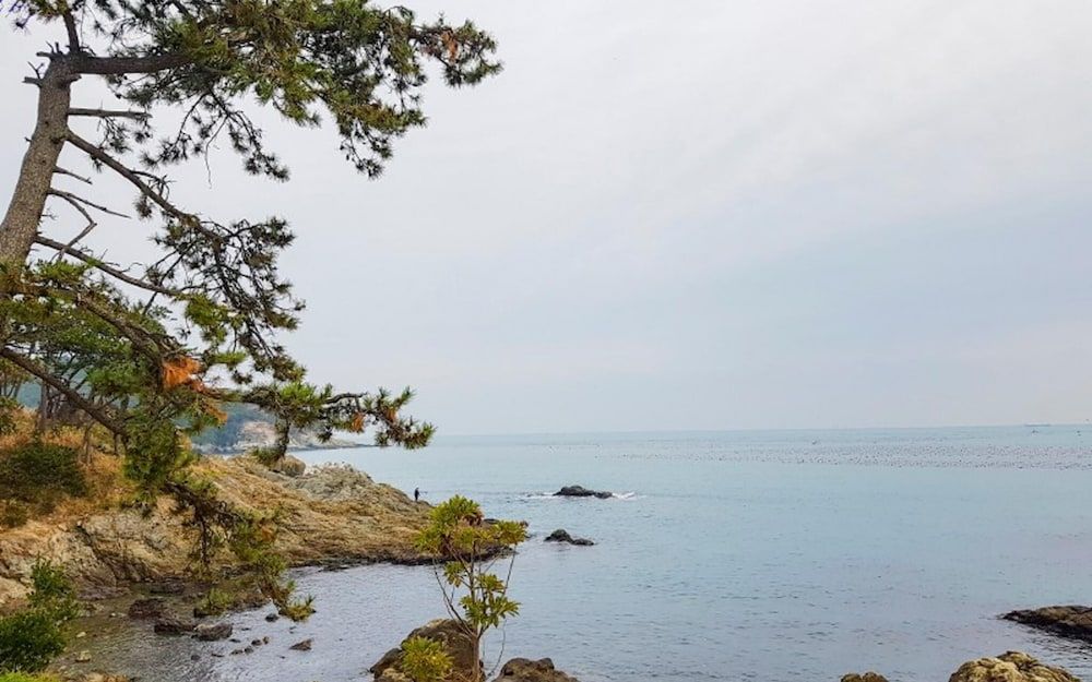 undefined Busan Maru House Pension 2