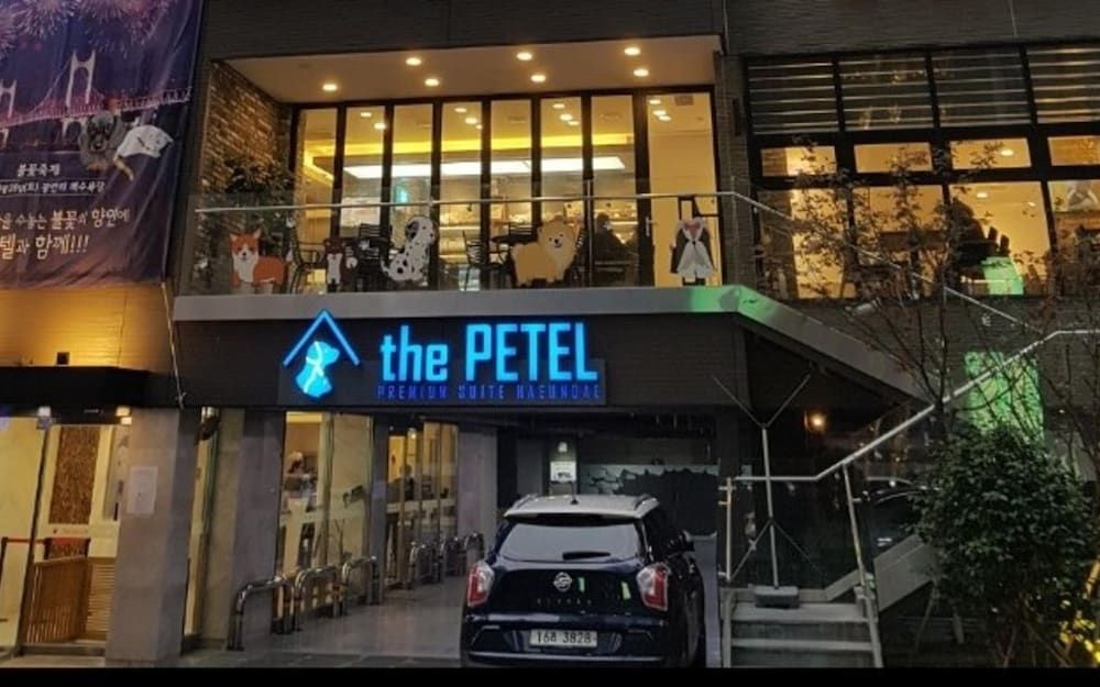 undefined The Petel Premium Suite 6