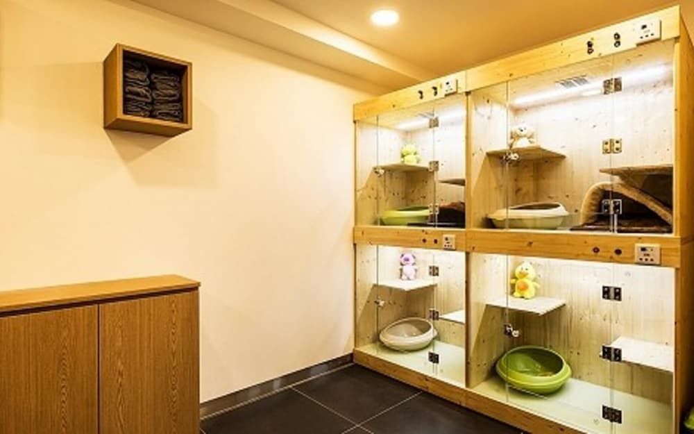 undefined The Petel Premium Suite 3