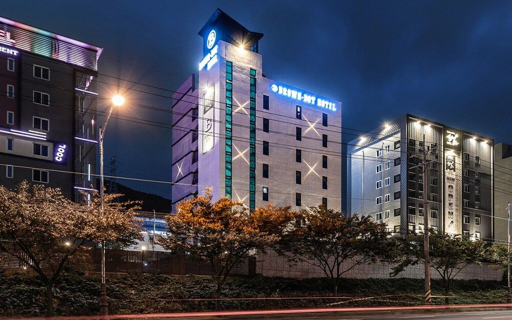 undefined Busan Jeonggwan Brown Dot 2