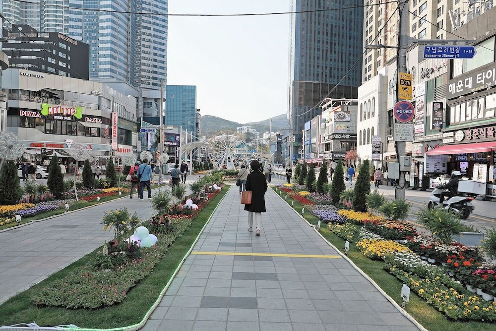 SoTA Collection The Haeundae Superior Double Plus 8