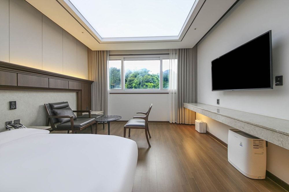 Hotel Demer Superior View Room (Mountain View) 6