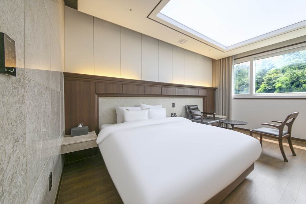 Hotel Demer Superior View Room (Mountain View)