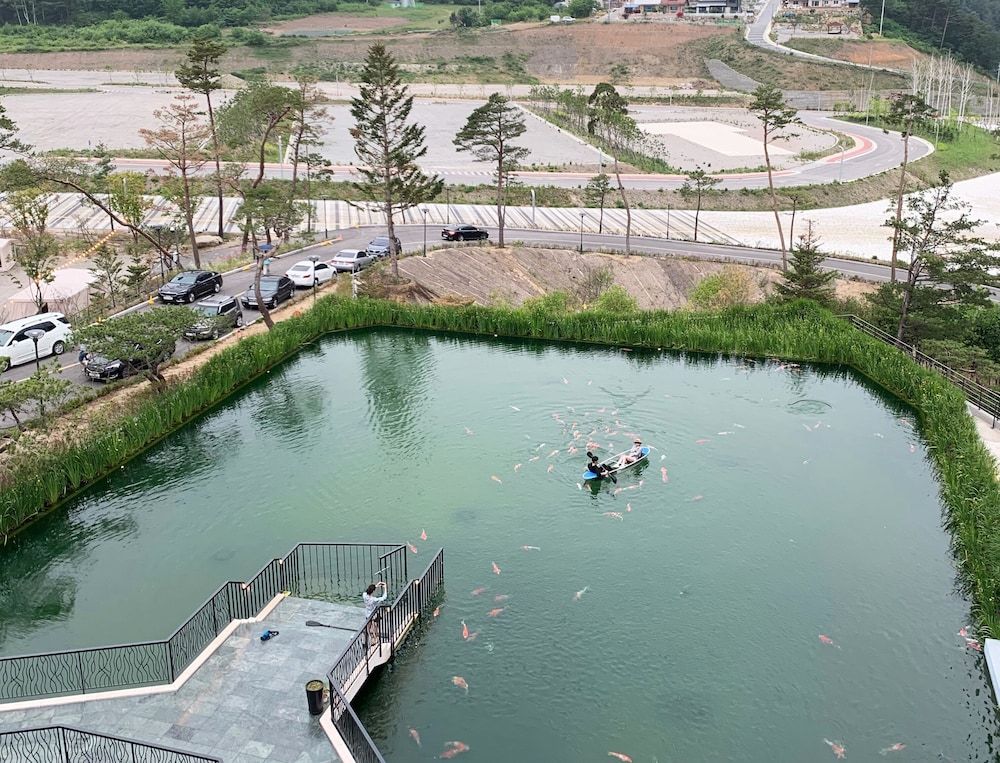 Pine Forest Superior King (Resort Random Assignment, Low Floor) 3