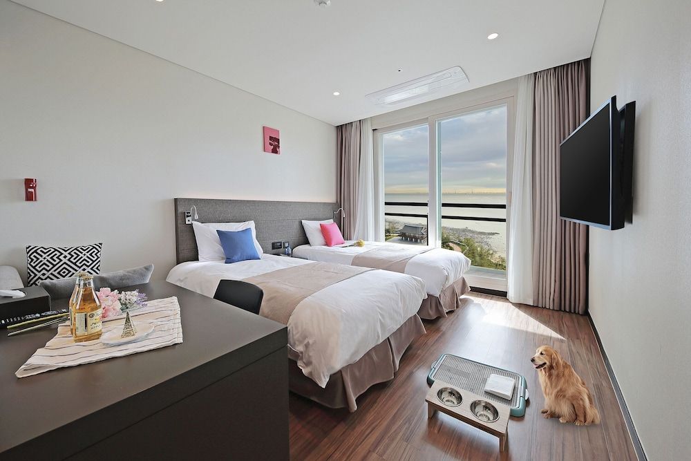 Airsky Hotel Premier Twin Pet Room, Park Ocean View/Terrace (Pet Room, Dog Only) 3