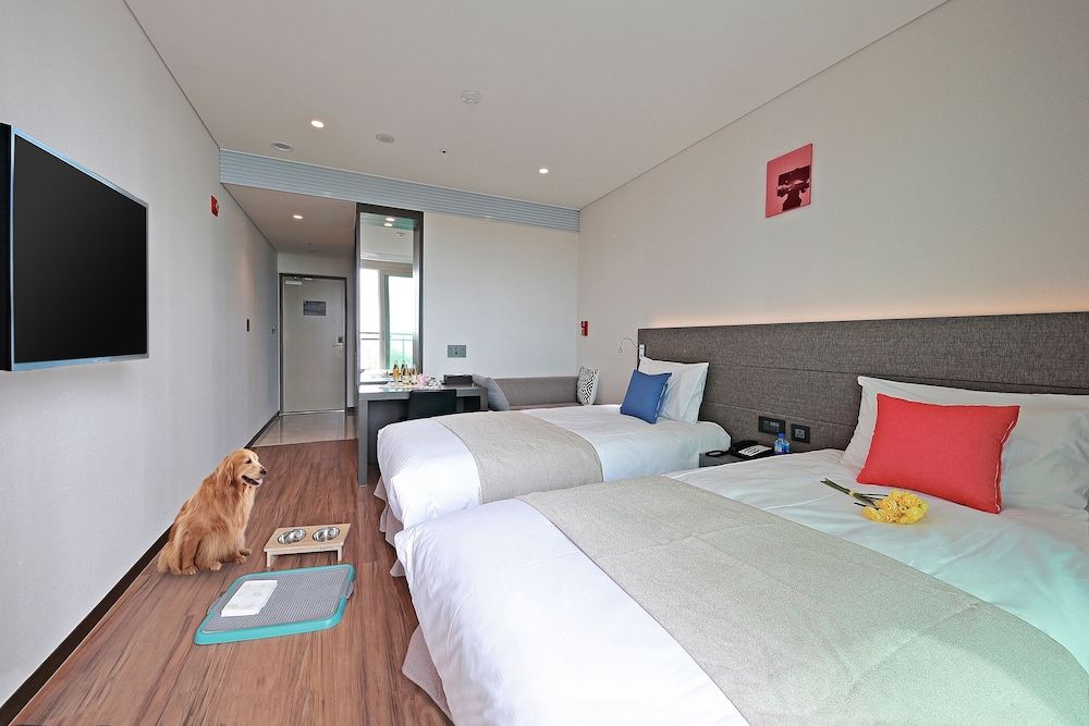 Airsky Hotel Premier Twin Pet Room, Park Ocean View/Terrace (Pet Room, Dog Only)
