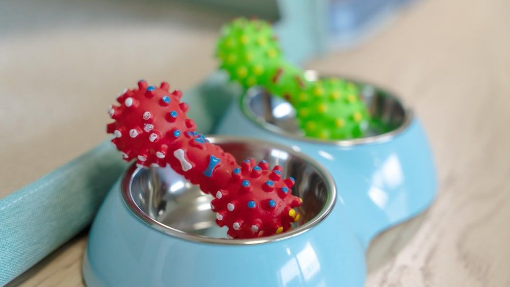 Hongcheon Stoneisland Pension Basic Room, 1 Bedroom (104) 5