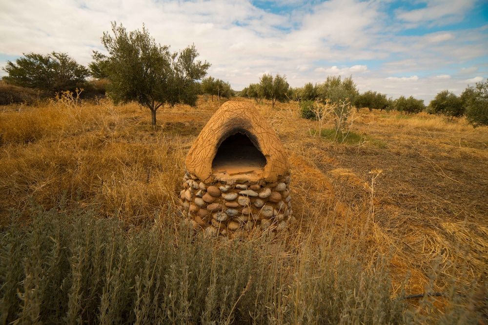 undefined Marrakesh Organics 5