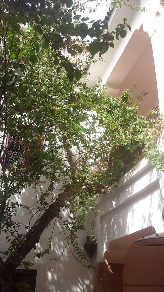 undefined Riad Aldiana 4