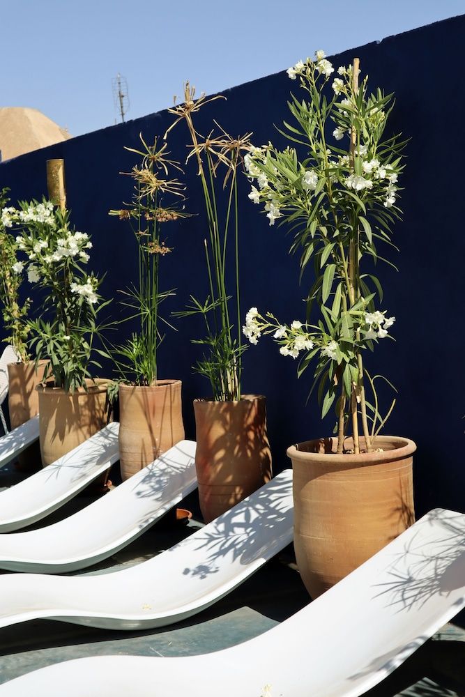 undefined Zwin Zwin Boutique Hôtel & SPA 10