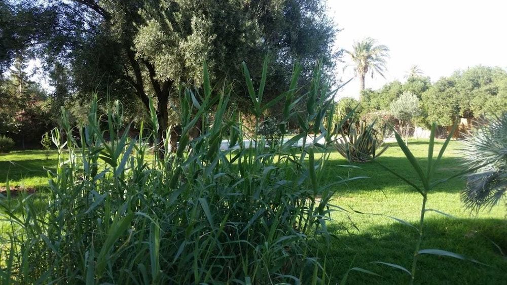 undefined Villa Tarik 10