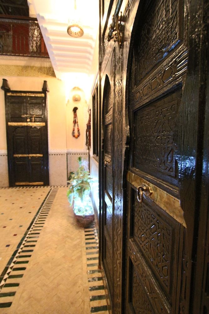 undefined Riad Makene Mouchkill 9