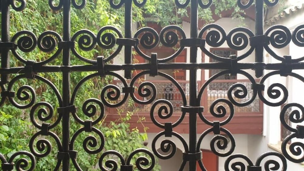 undefined Riad Neela 2