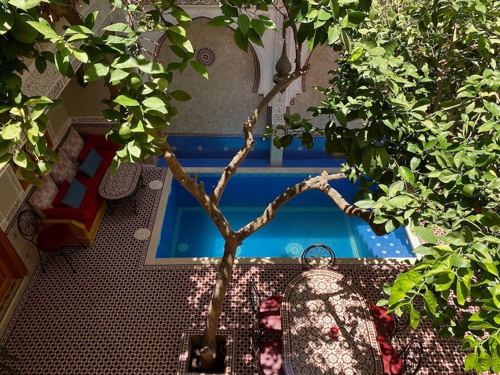 undefined Riad Shajara 7