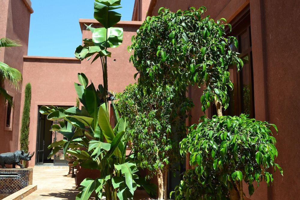 undefined Villa With Pool and Hammam Route de l Ourika - by Feelluxuryholidays 6