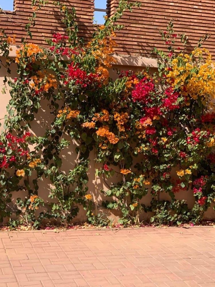 undefined La Perla de Marrakech 3