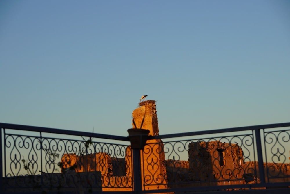 undefined Riad Le Petit Joyau 2