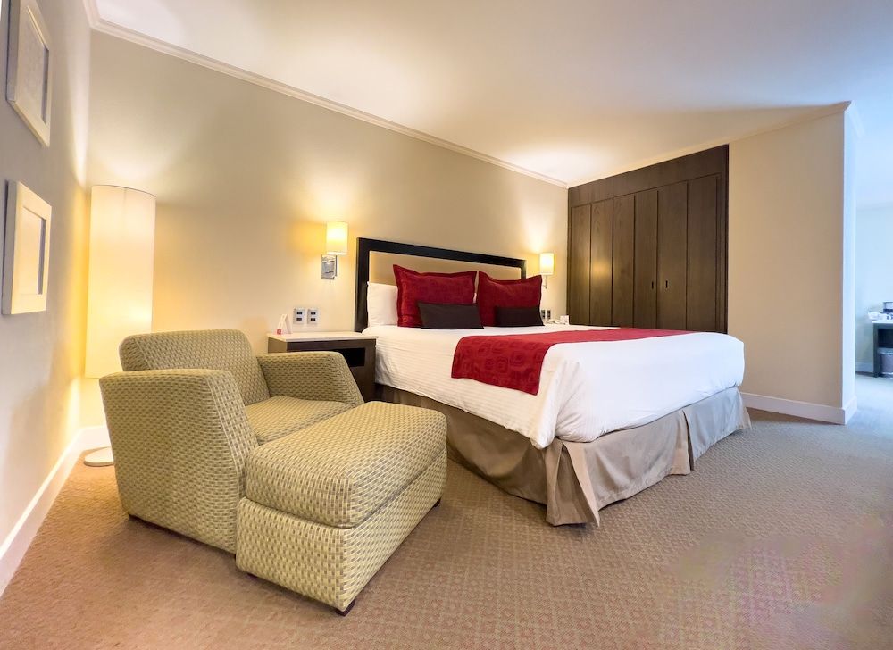 undefined Exe Alameda Reforma 5