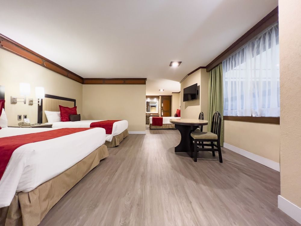 undefined Exe Alameda Reforma 6