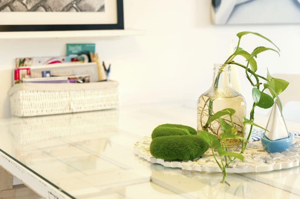 Hipster Condesa Flat Apartment, Multiple Beds, Non Smoking 13