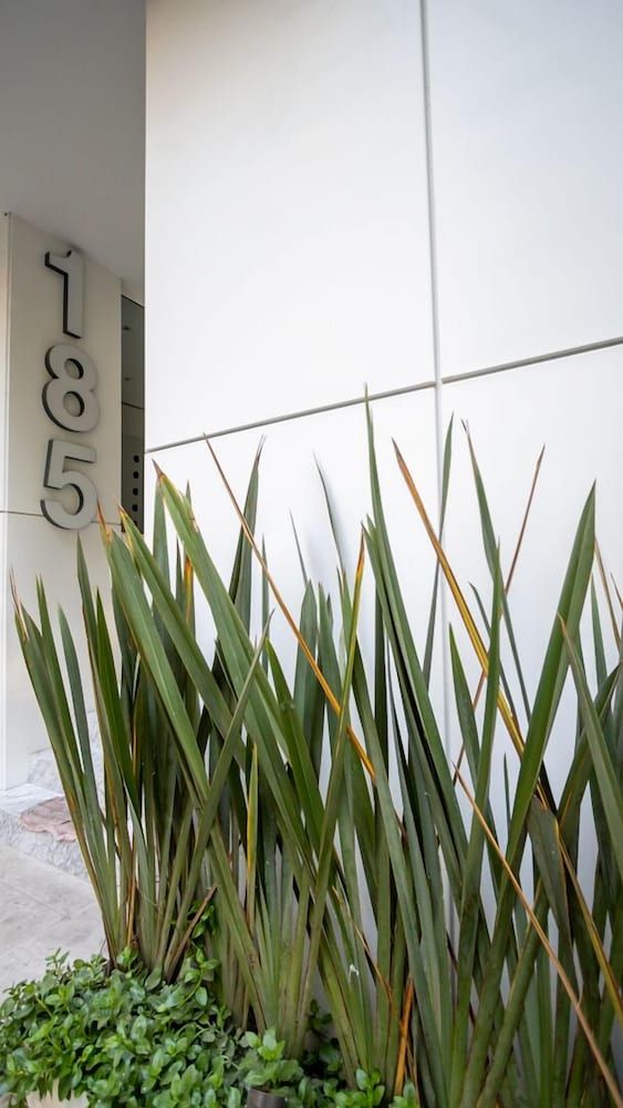 undefined Condesa Boutique PH by LiveMexicoCity 4