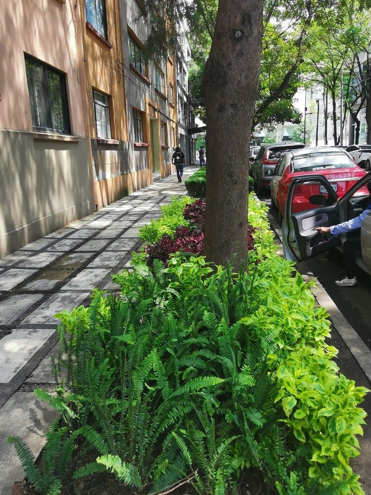 undefined Lety's Place 2