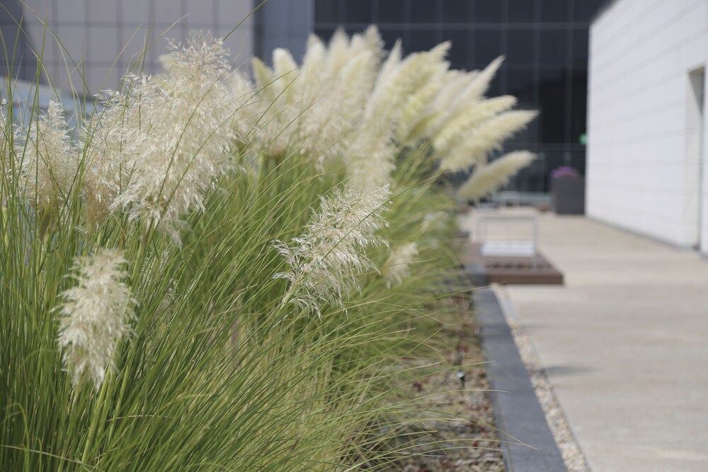 undefined Retro Revival Apartment by Mr.W 2