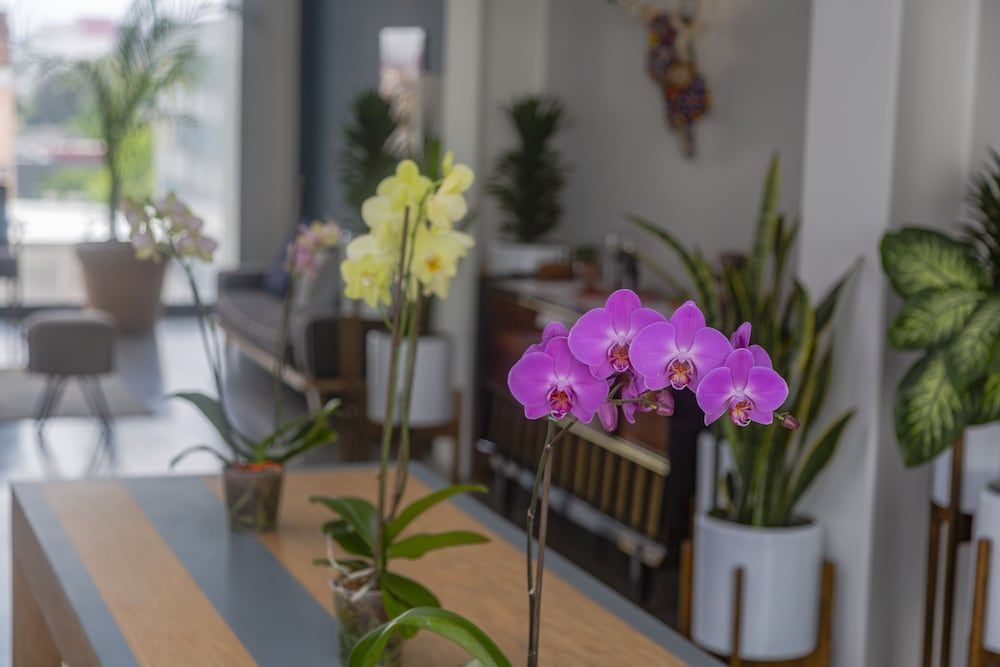 undefined Sunny Vibrant PH by Mr.W 10