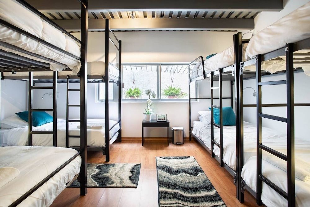 Hostel Top Location Polanco Basic Shared Dormitory, Mix Dorm, 8 Guests 4
