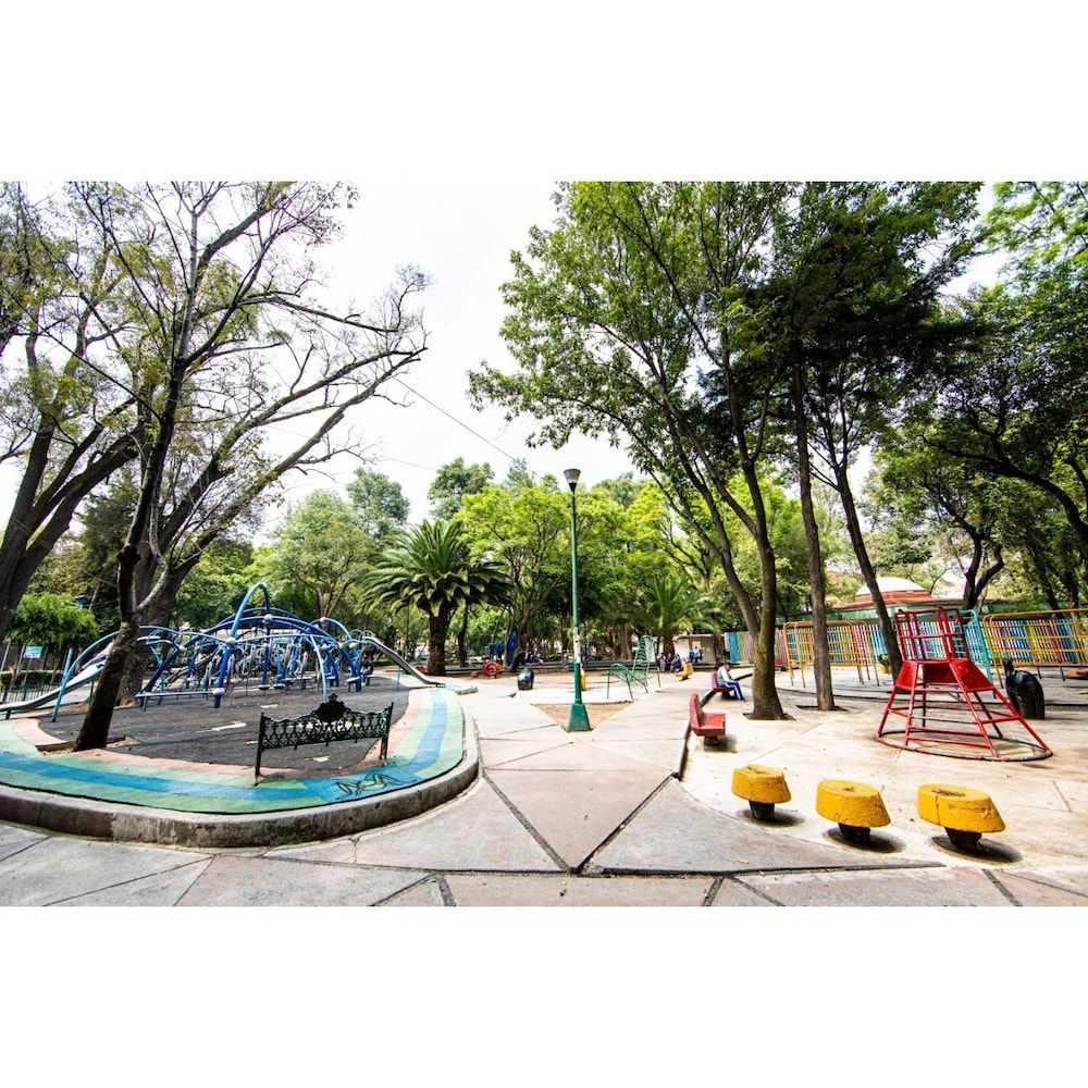 undefined New Park Front Terrace Apt Near Polanco 5