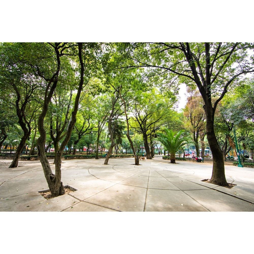 undefined Sophisticated Park Venue Apartment Near Polanco 5