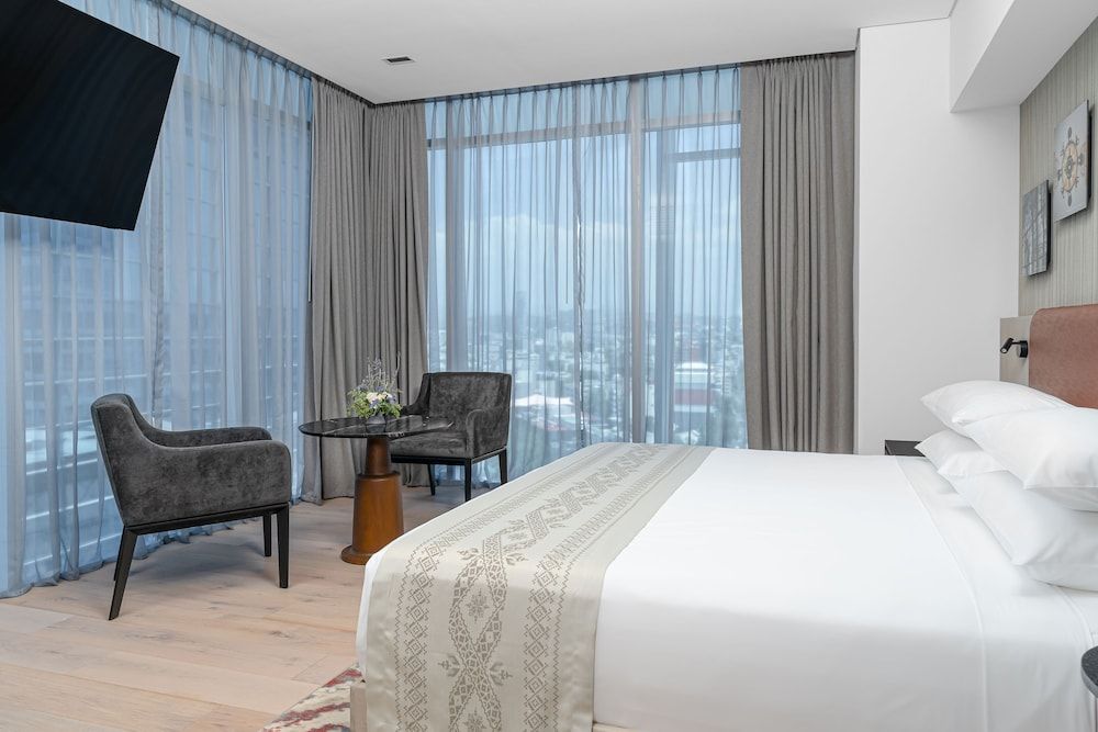 undefined Hyatt Regency Mexico City Insurgentes - WTC 7