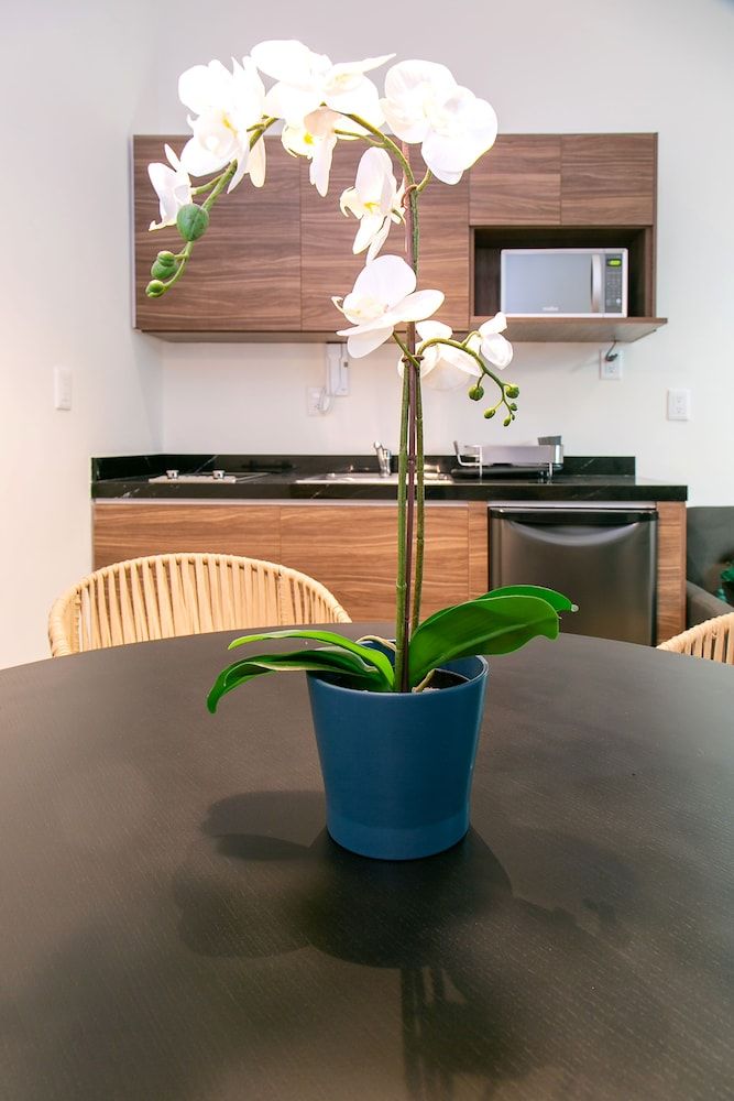 undefined Lumina at Noma Condesa Mexico City 8