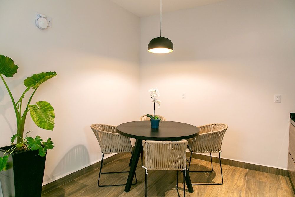 undefined Lumina at Noma Condesa Mexico City 9