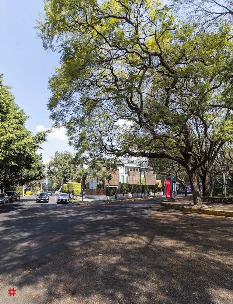 undefined Casa Polanco by Kukun 2