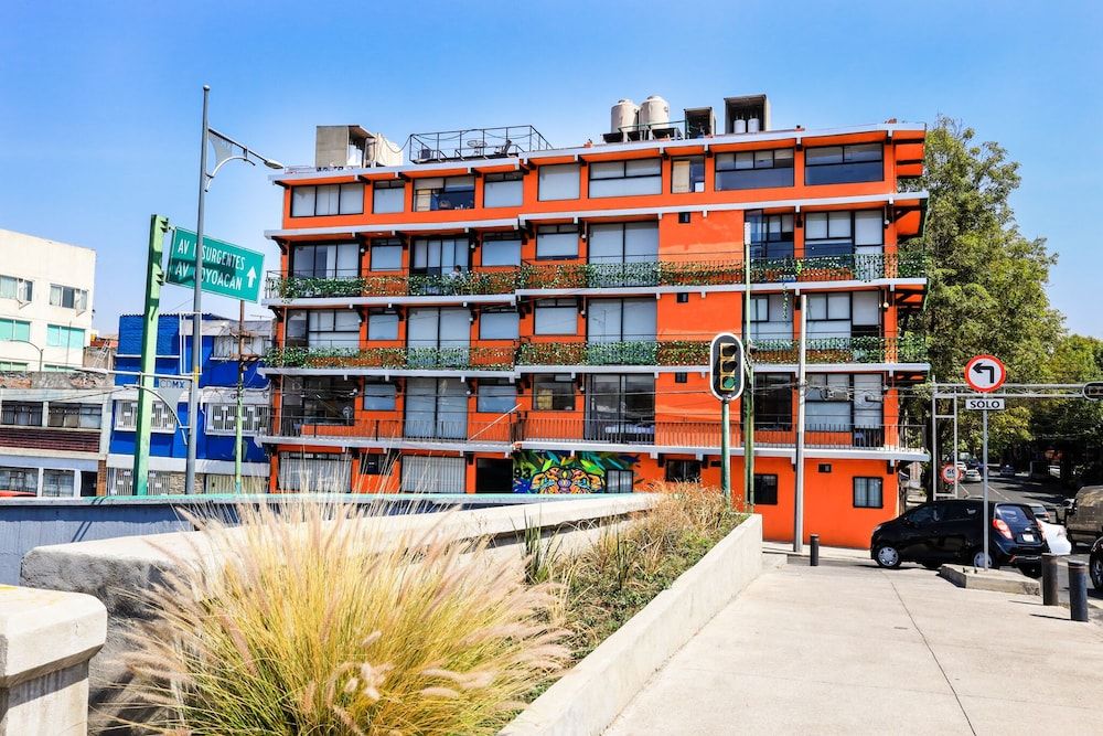 undefined Colmena Monterrey 3