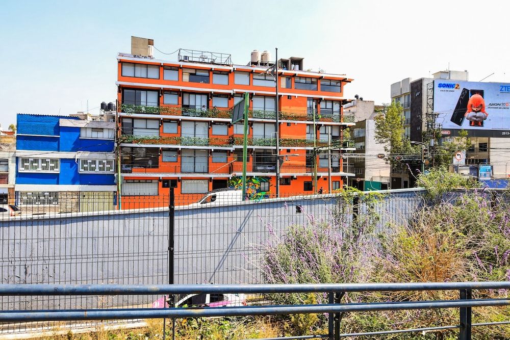 undefined Colmena Monterrey 2