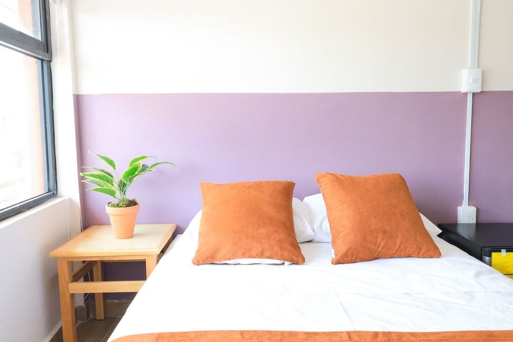 undefined Colmena Monterrey 6